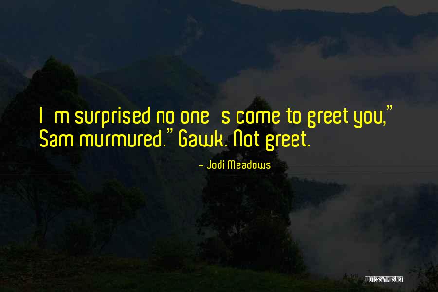 Gawk Quotes By Jodi Meadows Gawk Quotes By Jodi Meadows