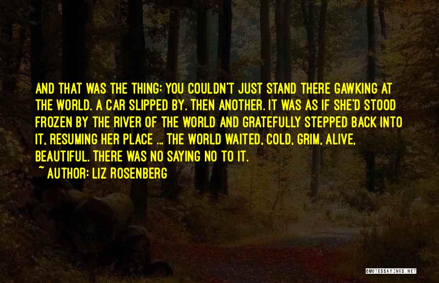 Gawking Quotes By Liz Rosenberg