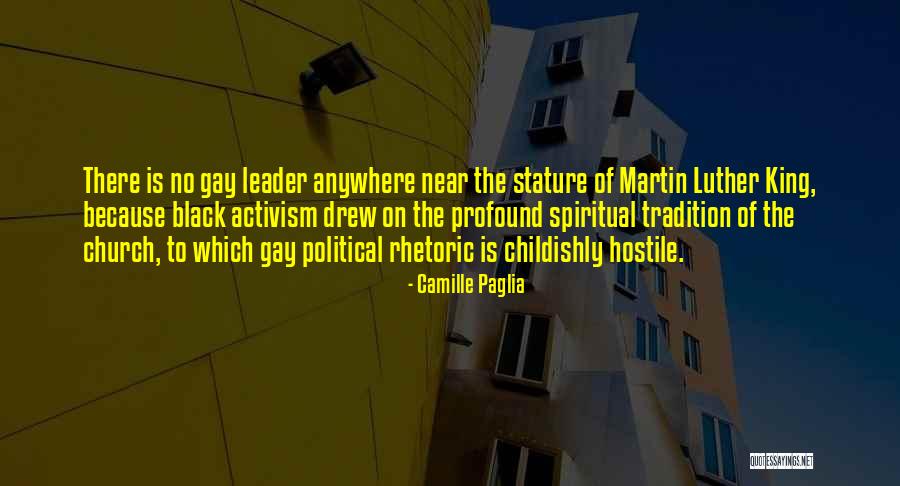 Gay Activism Quotes By Camille Paglia Gay Activism Quotes By Camille Paglia