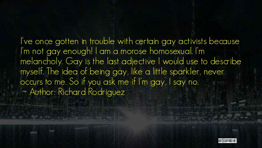 Gay Activists Quotes By Richard Rodriguez