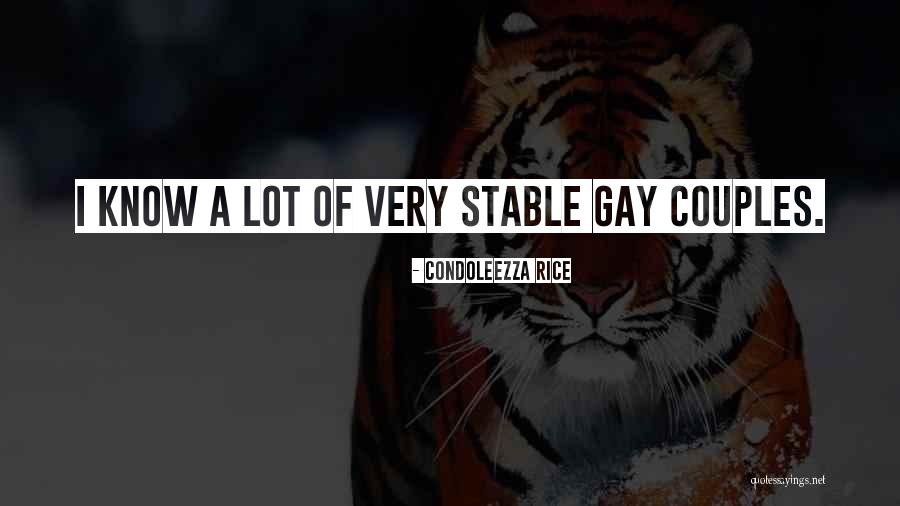 Gay Couples Quotes By Condoleezza Rice