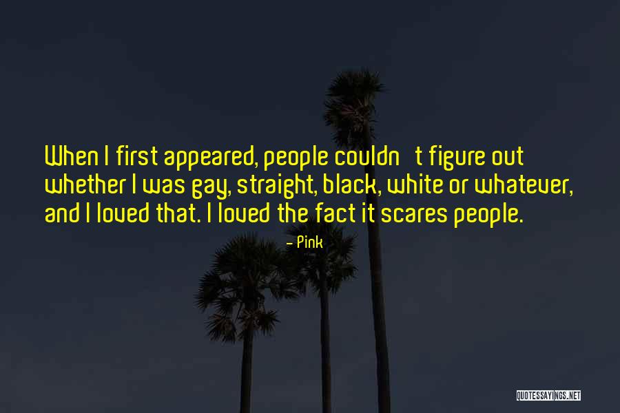 Gay Fact Quotes By Pink Gay Fact Quotes By Pink