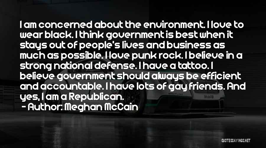 Gay Friends Quotes By Meghan McCain