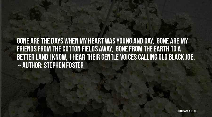 Gay Friends Quotes By Stephen Foster