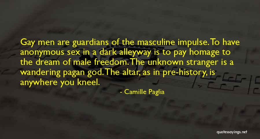 Gay God Quotes By Camille Paglia