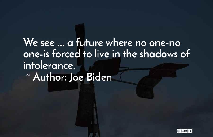 Gay Intolerance Quotes By Joe Biden