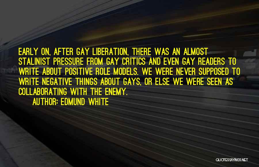 Gay Liberation Quotes By Edmund White