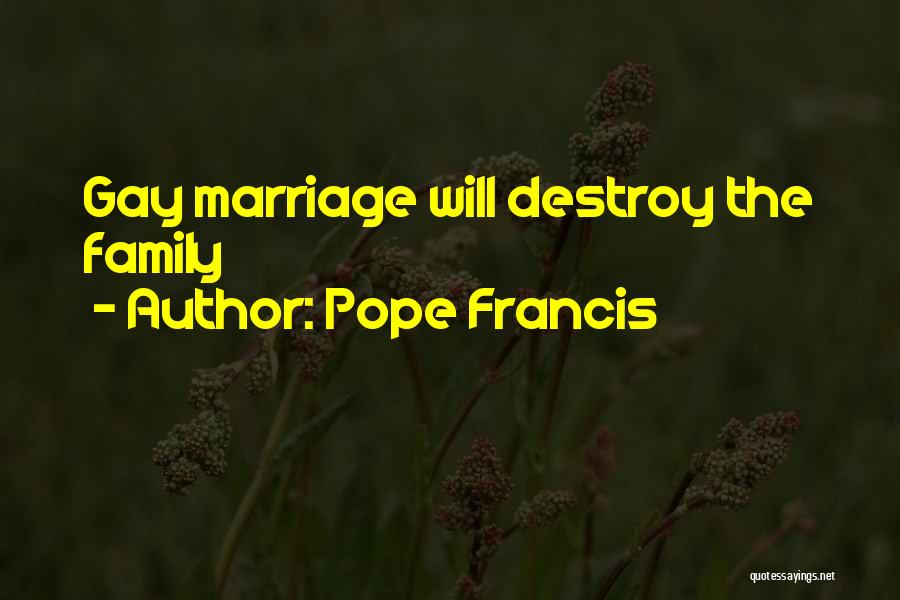Gay Marriage And Family Quotes By Pope Francis