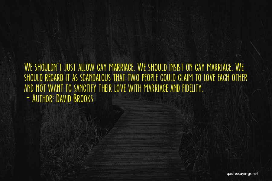 Gay Marriage And Love Quotes By David Brooks