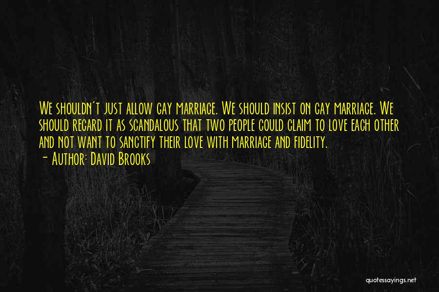 Gay Marriage Love Quotes By David Brooks