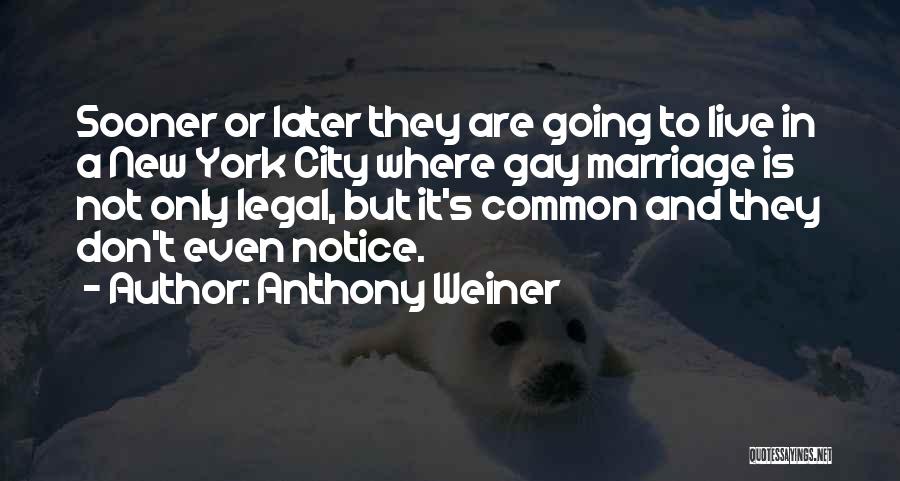 Gay Marriage Quotes By Anthony Weiner