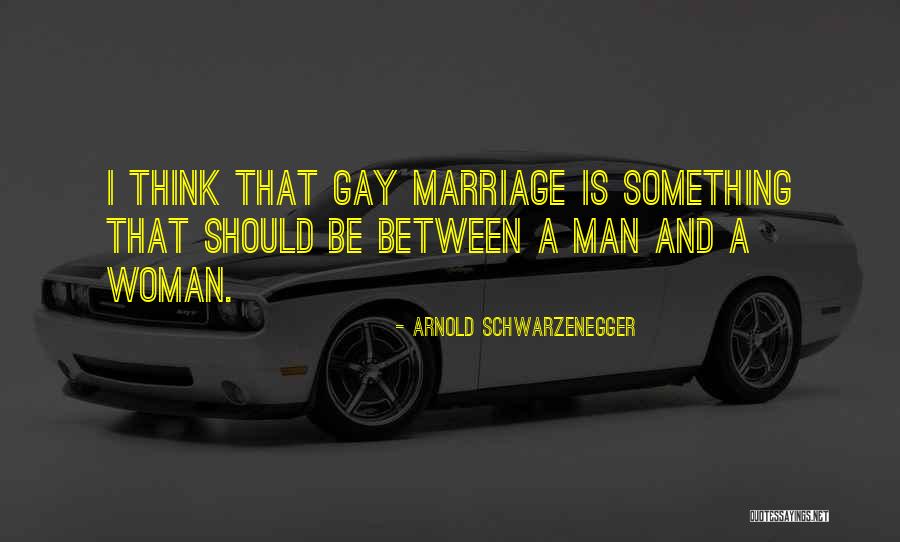 Gay Marriage Quotes By Arnold Schwarzenegger