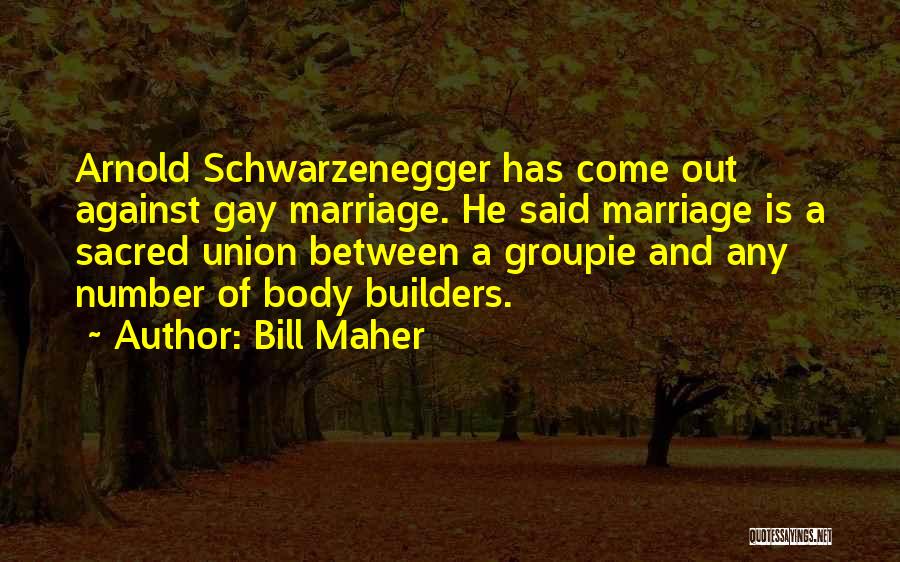 Gay Marriage Quotes By Bill Maher