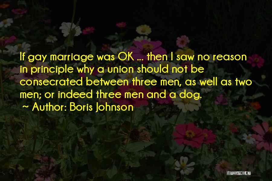 Gay Marriage Quotes By Boris Johnson