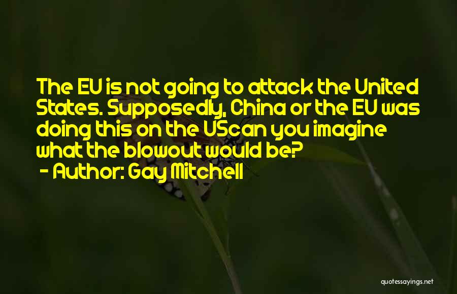 Gay Mitchell Quotes 1761502