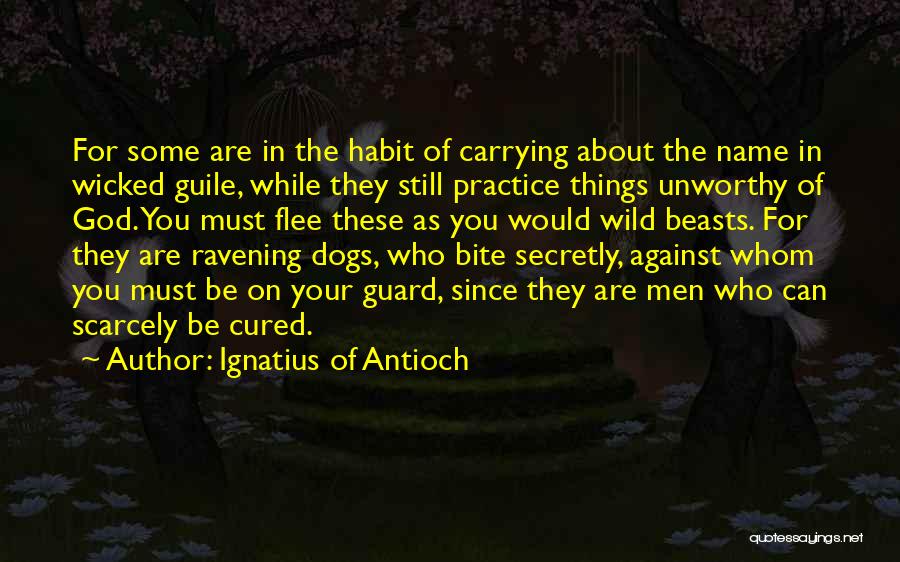 Gay Pride Short Quotes By Ignatius Of Antioch