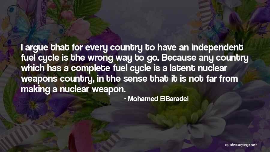 Gayed Tube Quotes By Mohamed ElBaradei