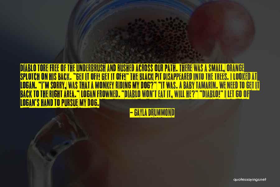 Gayla Drummond Quotes 1876471 Gayla Drummond Quotes 1876471