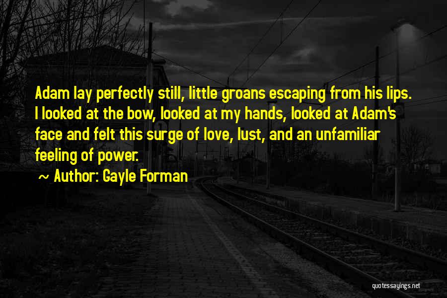 Gayle Forman Love Quotes By Gayle Forman