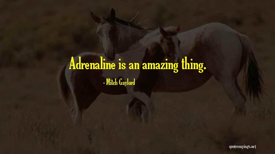Gaylord Quotes By Mitch Gaylord Gaylord Quotes By Mitch Gaylord