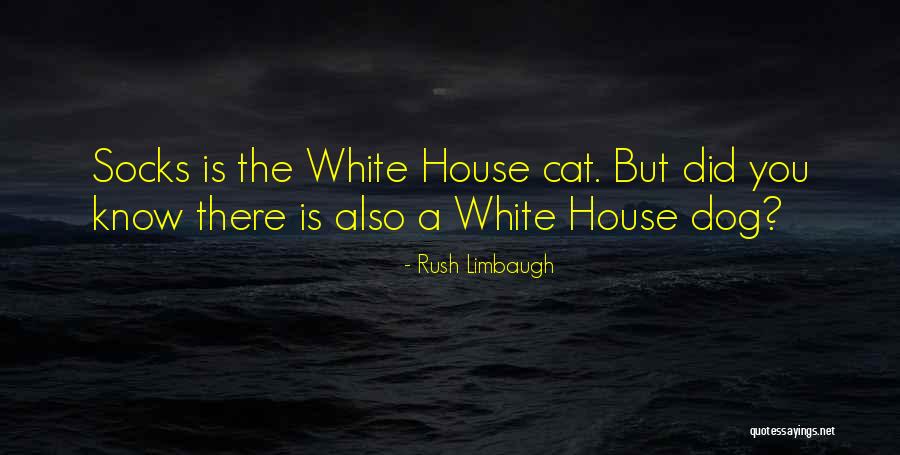 Gayna Havens Quotes By Rush Limbaugh Gayna Havens Quotes By Rush Limbaugh