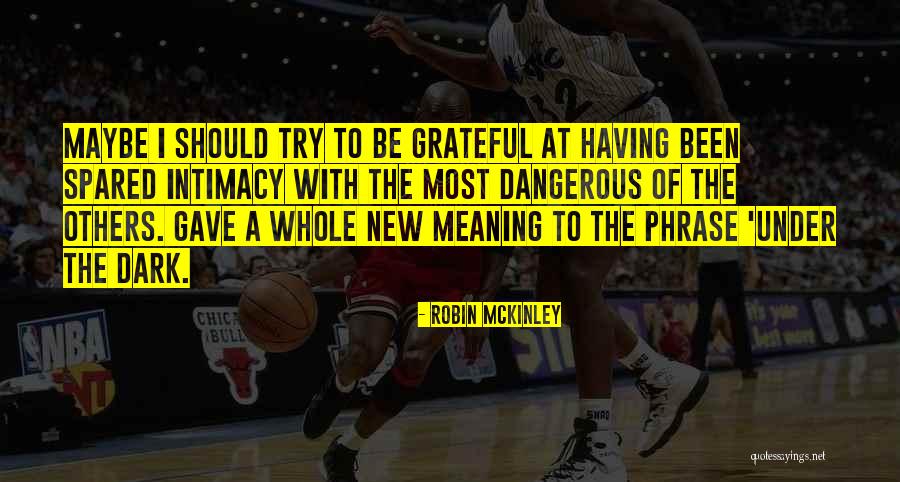 Gayret Ne Quotes By Robin McKinley Gayret Ne Quotes By Robin McKinley