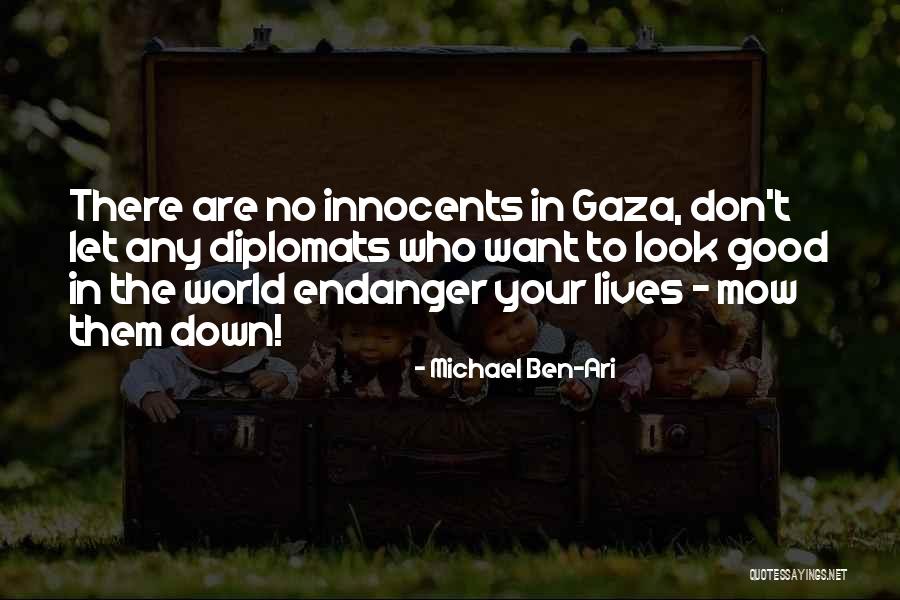 Gaza Israel Quotes By Michael Ben-Ari