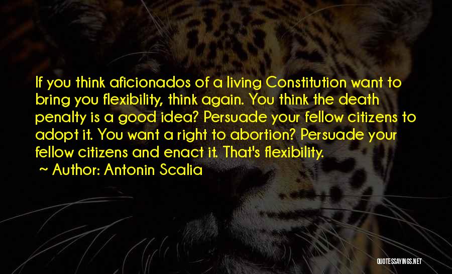 Gazarov Aleksandr Quotes By Antonin Scalia