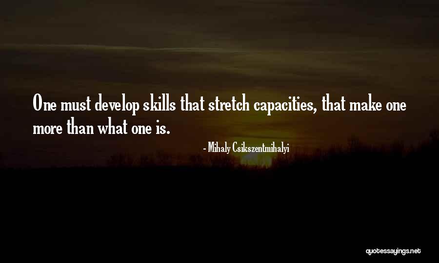 Gazdina Rakija Quotes By Mihaly Csikszentmihalyi Gazdina Rakija Quotes By Mihaly Csikszentmihalyi