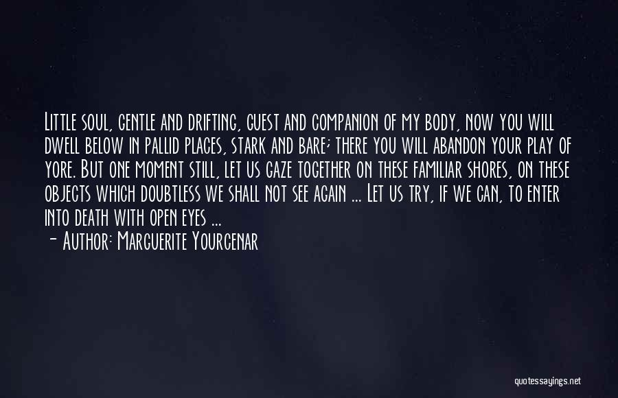 Gaze Into Your Eyes Quotes By Marguerite Yourcenar
