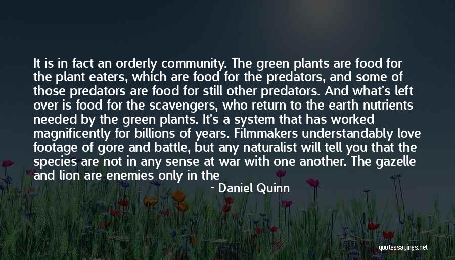 Gazelle Quotes By Daniel Quinn Gazelle Quotes By Daniel Quinn