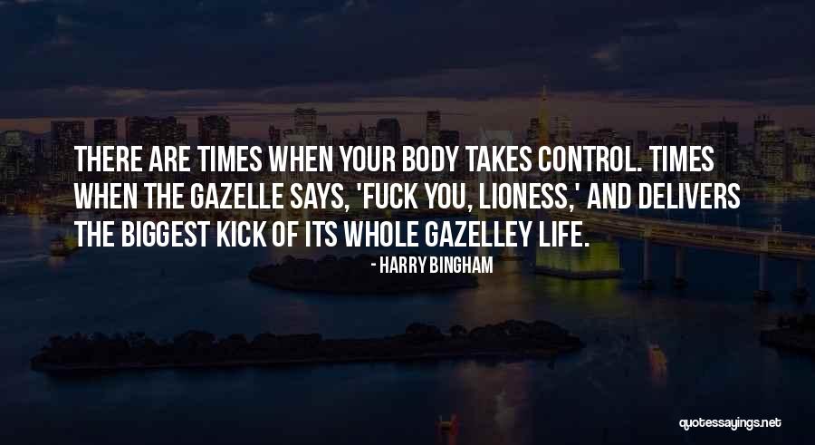 Gazelle Quotes By Harry Bingham Gazelle Quotes By Harry Bingham