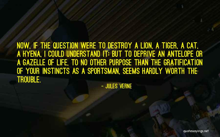 Gazelle Quotes By Jules Verne Gazelle Quotes By Jules Verne