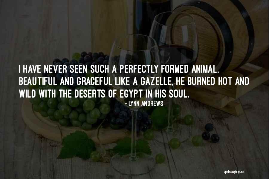 Gazelle Quotes By Lynn Andrews Gazelle Quotes By Lynn Andrews