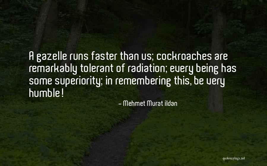 Gazelle Quotes By Mehmet Murat Ildan Gazelle Quotes By Mehmet Murat Ildan