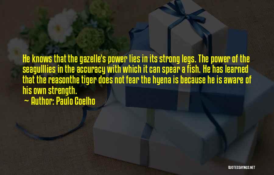 Gazelle Quotes By Paulo Coelho