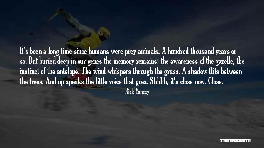 Gazelle Quotes By Rick Yancey Gazelle Quotes By Rick Yancey
