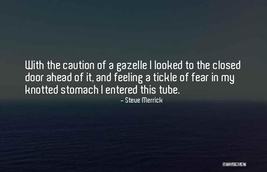 Gazelle Quotes By Steve Merrick Gazelle Quotes By Steve Merrick