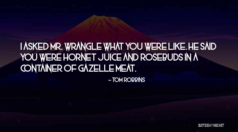 Gazelle Quotes By Tom Robbins Gazelle Quotes By Tom Robbins
