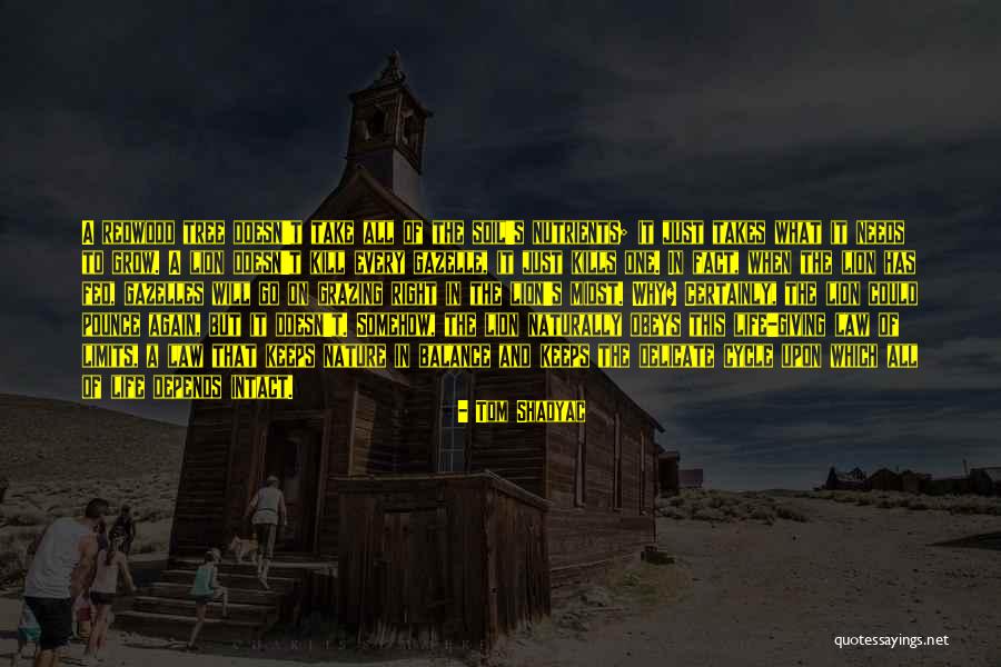 Gazelles Quotes By Tom Shadyac Gazelles Quotes By Tom Shadyac