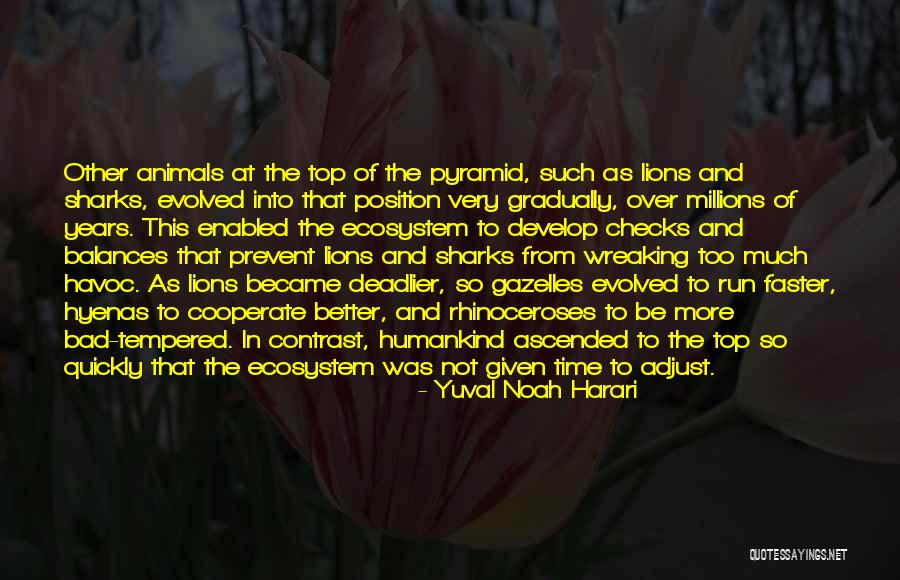 Gazelles Quotes By Yuval Noah Harari Gazelles Quotes By Yuval Noah Harari