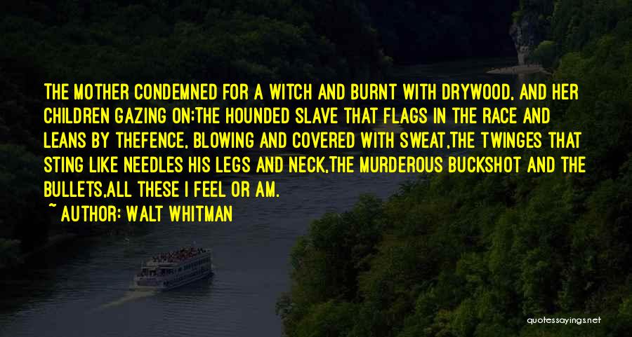 Gazing Quotes By Walt Whitman