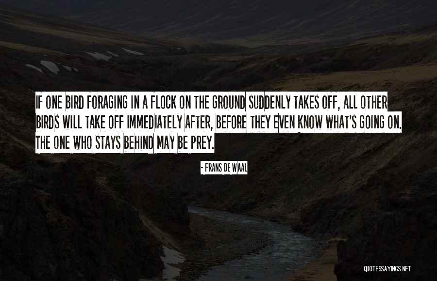 Gaziul Haque Quotes By Frans De Waal Gaziul Haque Quotes By Frans De Waal