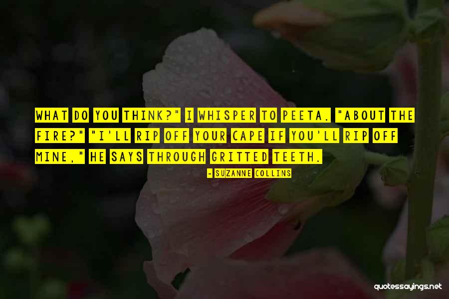 Gazzettino Di Quotes By Suzanne Collins Gazzettino Di Quotes By Suzanne Collins