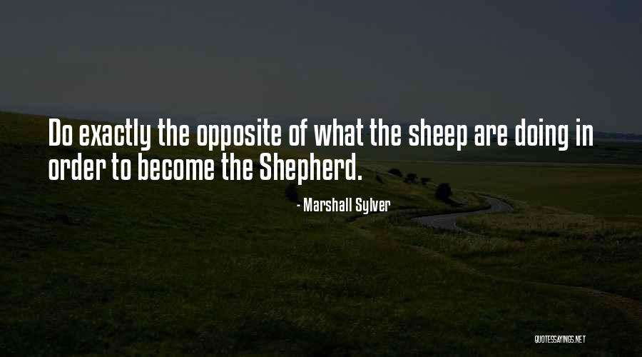 Gazzola Tile Quotes By Marshall Sylver Gazzola Tile Quotes By Marshall Sylver