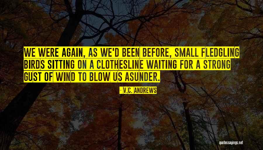 Gbemisola Adebunmi Quotes By V.C. Andrews Gbemisola Adebunmi Quotes By V.C. Andrews