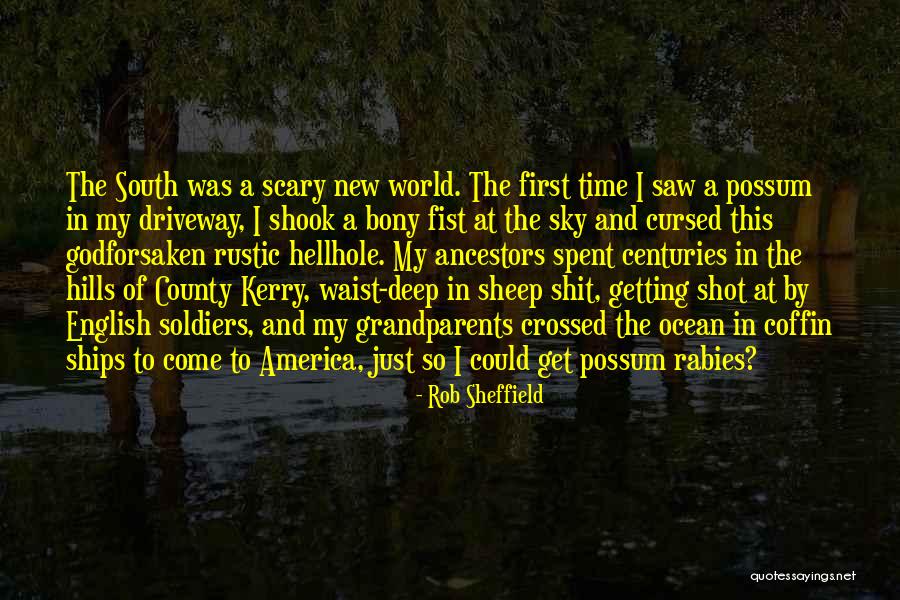 Gcadv Quotes By Rob Sheffield Gcadv Quotes By Rob Sheffield