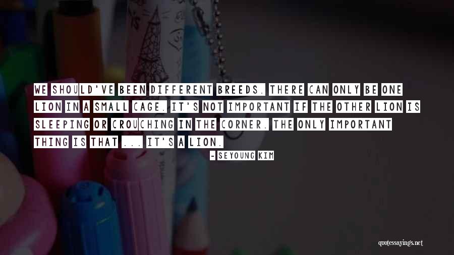 Geall Myth Quotes By Seyoung Kim Geall Myth Quotes By Seyoung Kim