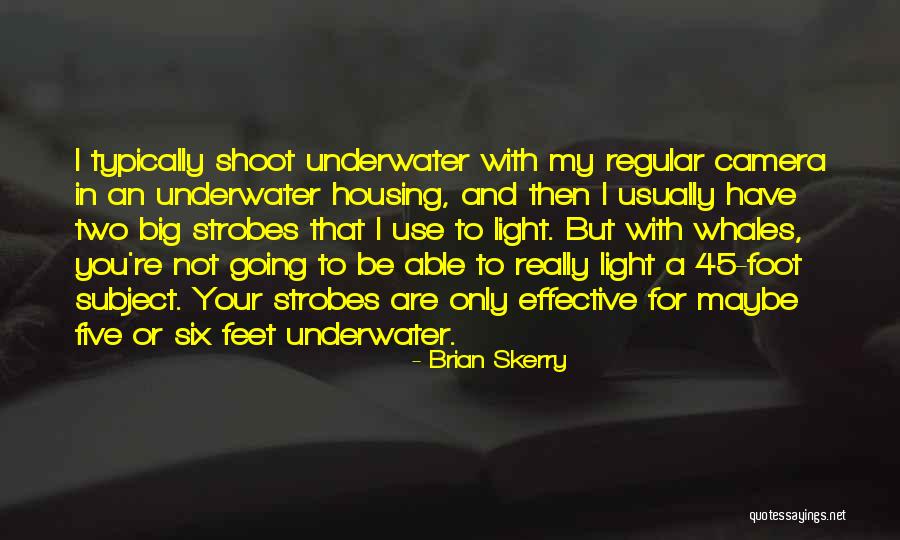 Geamuri Si Quotes By Brian Skerry Geamuri Si Quotes By Brian Skerry