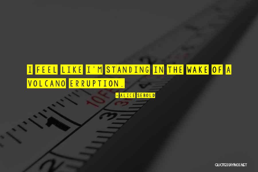 Gecelik Repo Quotes By Alice Sebold Gecelik Repo Quotes By Alice Sebold